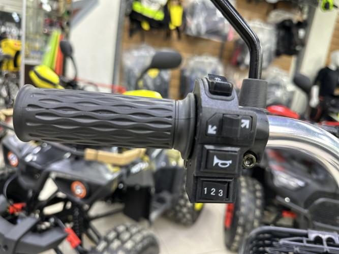 Электровелосипед Motax E-NOT Express Lux в Ростове