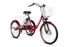 Электровелосипед РВЗ Чемпион 24 складной