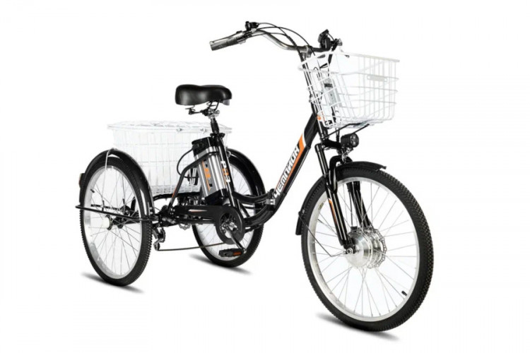 Электровелосипед РВЗ Чемпион 24 складной в Ростове