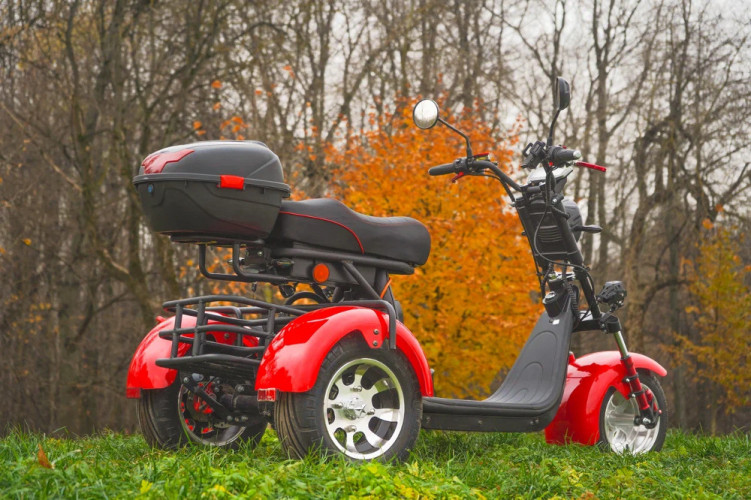 Электроскутер White Siberia PRO TRIKE 3000W в Ростове