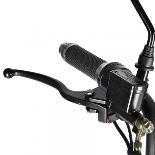 Электроскутер White Siberia TRIKE MINI 1500W в Ростове