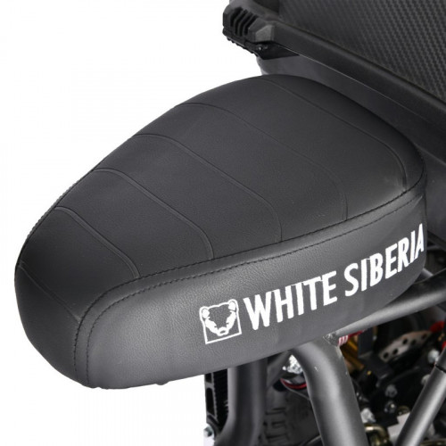Электроскутер White Siberia TRIKE MINI 1500W в Ростове