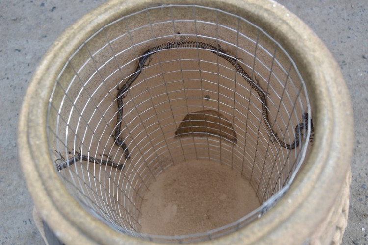 Тандыр Электрический Малый в Ростове