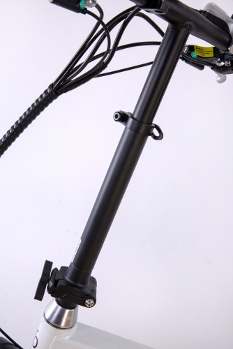 Электровелосипед Elbike Gangstar VIP в Ростове