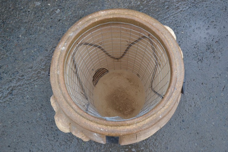 Тандыр Электрический Баран в Ростове