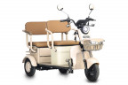 Пассажирский электротрицикл Rutrike Gelbert Atlas в Ростове