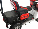 Пассажирский электротрицикл Rutrike Gelbert Lich в Ростове