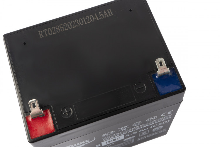 Тяговый гелевый аккумулятор RuTrike 6-GFM-4.5 (12V4.5A/H C20) в Ростове