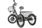 Электрофэтбайк Eltreco Green City e-ALFA Trike в Ростове