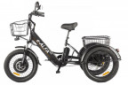 Электрофэтбайк Eltreco Green City e-ALFA Trike в Ростове