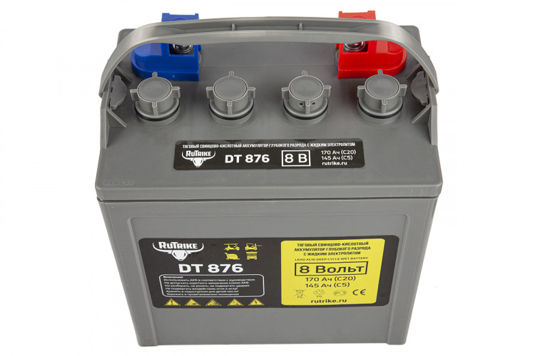 Тяговый аккумулятор RuTrike WET DT876 (T-875) 8V120A/H C3 в Ростове