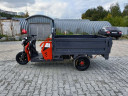 Грузовой электрический трицикл Pаntеrа Гидрaвлика 75V1500W в Ростове